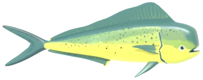 Korifena